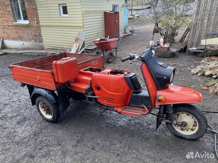 Муравей тмз-5