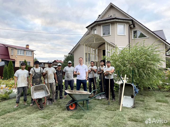 Рулонный газон для участка