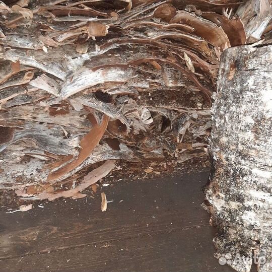 Продам Дрова березовые колотые сухие доставка