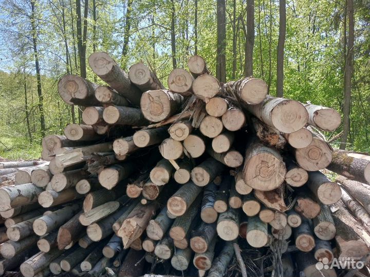 Пиловочник осины на дрова