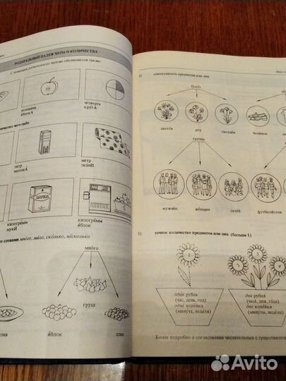 Книга словарь для изучения русского языка