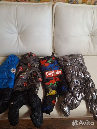 Одежда для собачек