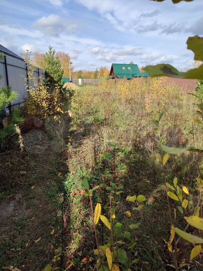 Участок 8,6 сот. (СНТ, ДНП)