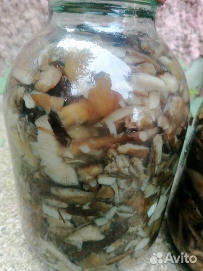 Грибы опята маринованные