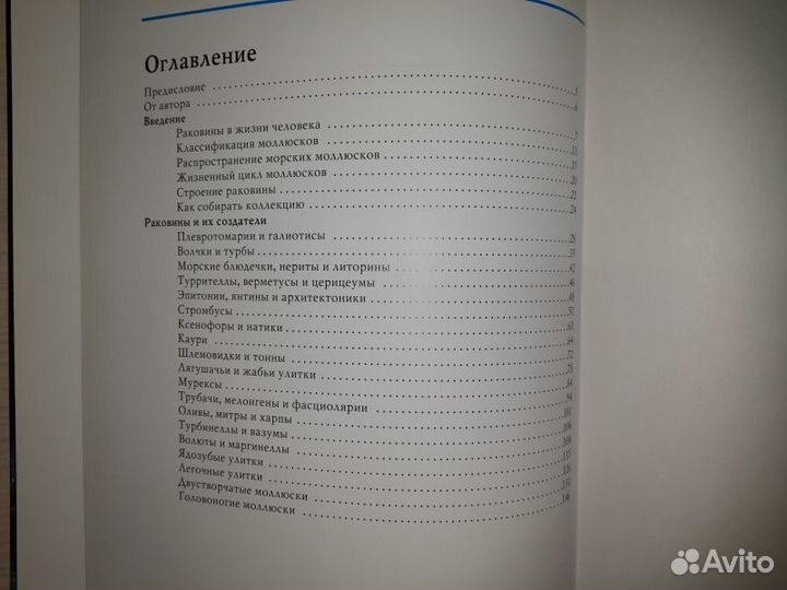 Владимир Ершов. Чарующий мир раковин