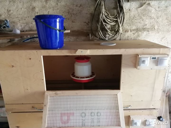 Брудер для цыплят