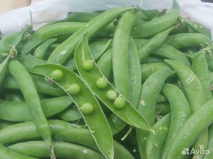 Свежий Горох сладкий с доставкой
