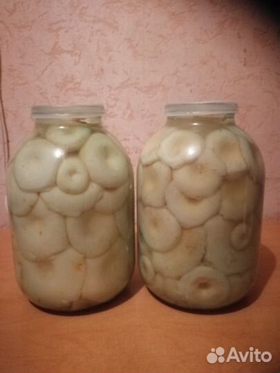 Грузди