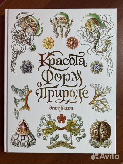 Книга красота форм в природе новая нон фикшн миф