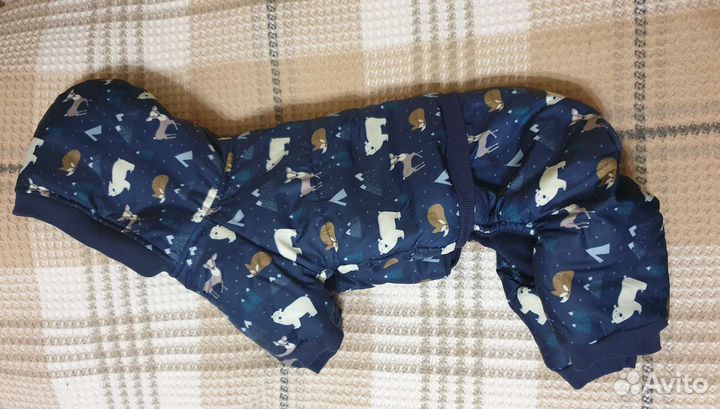 Комбинезон для собаки