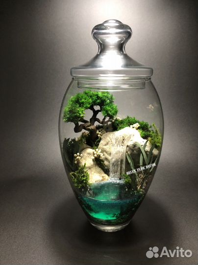 Флорариум - моссариум