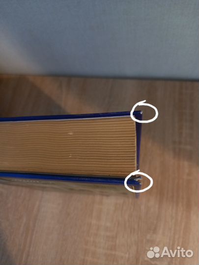 С. Л. Рубинштейн Основы общей психологии