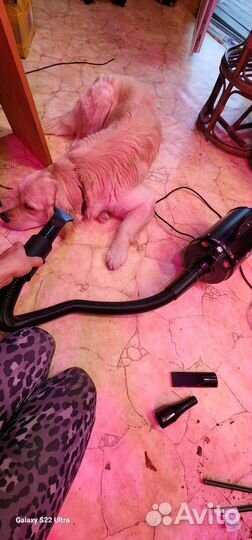 Компрессор для сушки собак