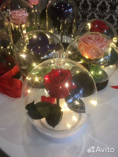 Вечная роза в колбе