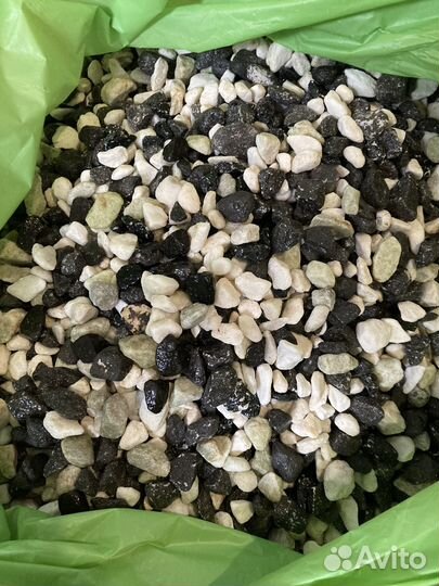 Аквариум на 100 литров