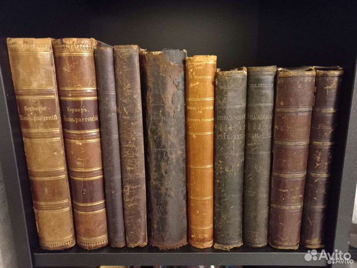 Книги. Старые редкие книжные издания