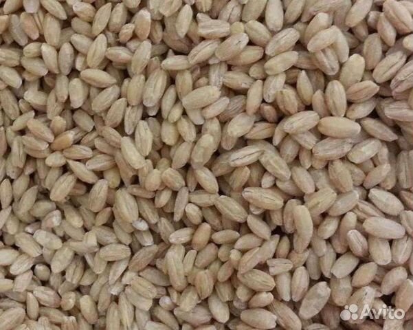 Перловка, ячка, геркулес, сечка пшеная, макароны