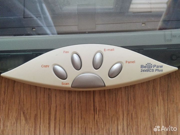 Сканер Bear Paw 2448 CS Plus