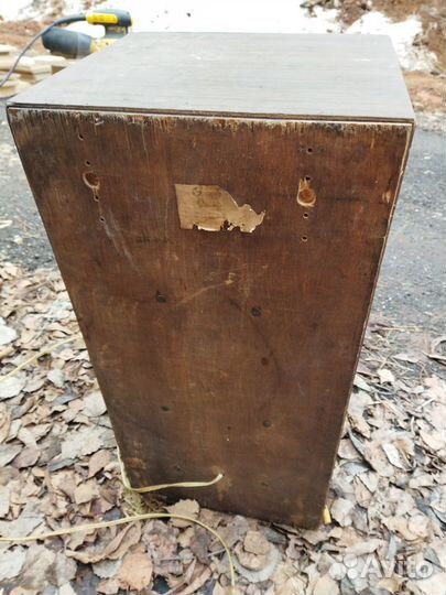 Колонки Вега 50ас-106