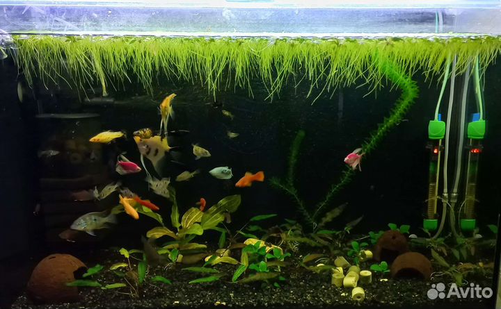 Аквариум 148 л