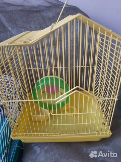 Хомяки вместе с клеткой