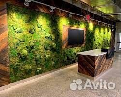 Панно из мха: привнесите природу в свой дом Арт: 216175