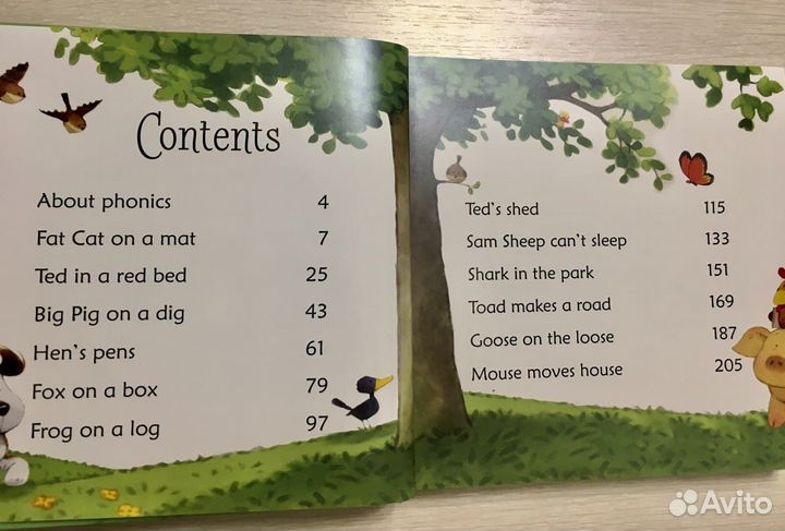 Phonics Story 