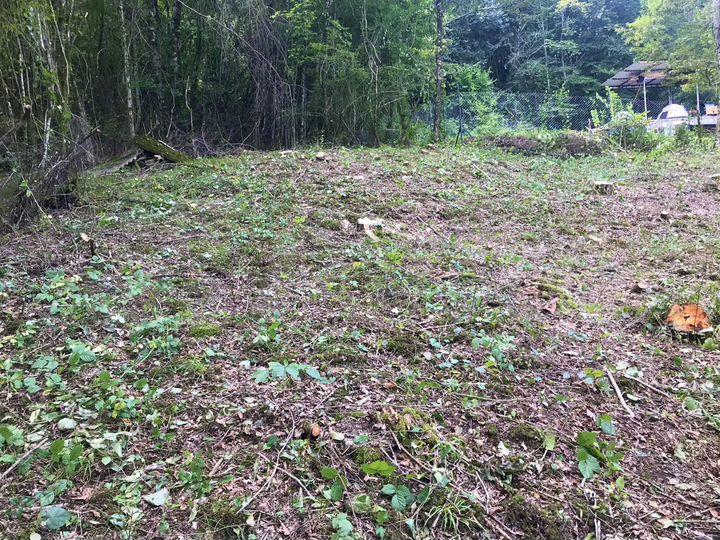 Участок 5,3 сот. (СНТ, ДНП)