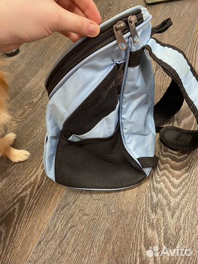 Сумка для собачки, маленькая