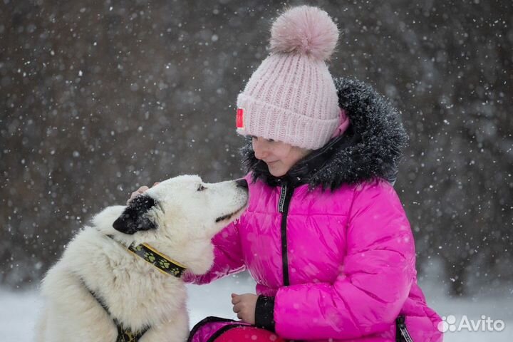 Экскурсия — Переславль-Залесский — Вгости ксибирск