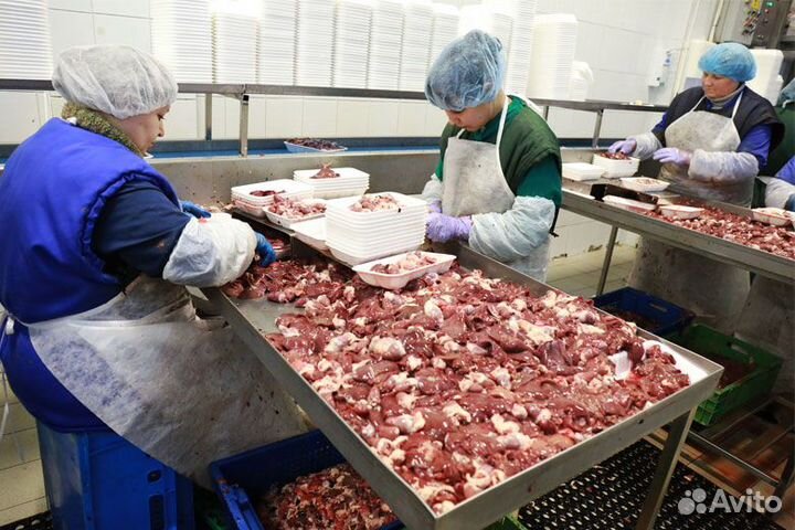 Вакансия на птичьем заводе: сменный график Пермь