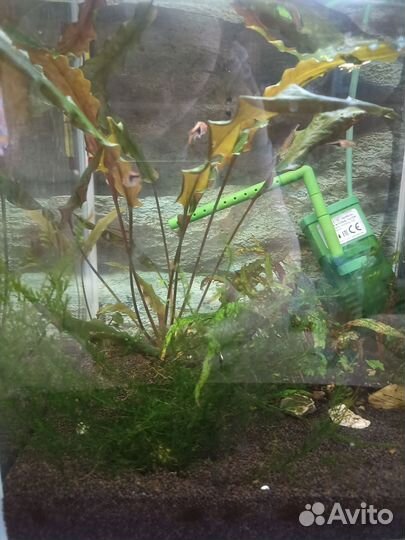 Аквариум куб