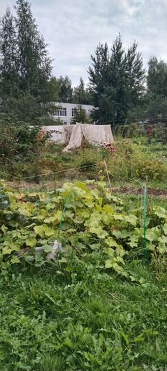 Дом 230 м² на участке 22 сот.