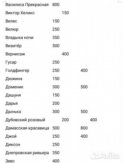 Саженцы и черенки Винограда