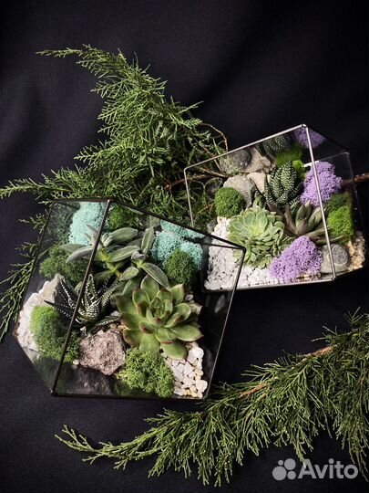Флорариум /Подарок / Цветы / Букет