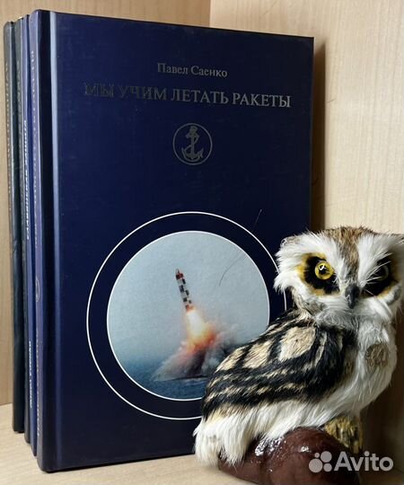 Саенко П. Мы учим летать ракеты. К 90-летию акдем