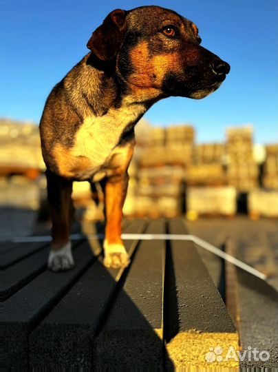 Тротуарная плитка ГОСТ минимальный заказ 120 м2