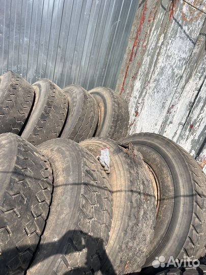 Грузовые шины 12.00 R24