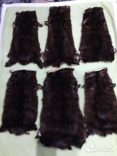 Шкурки норки выделанные