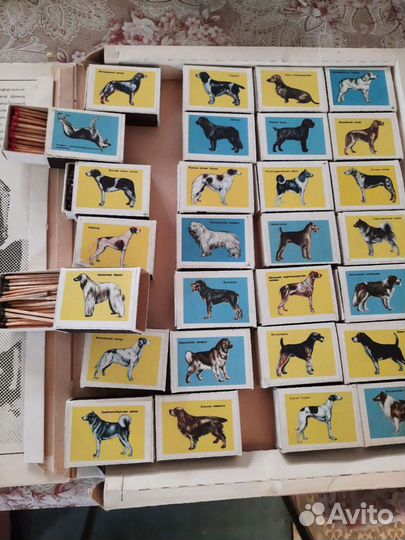 Спички СССР Андропов