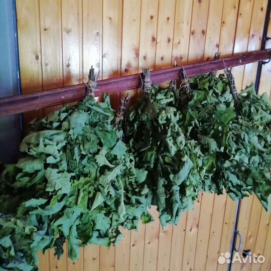 Веники для бани