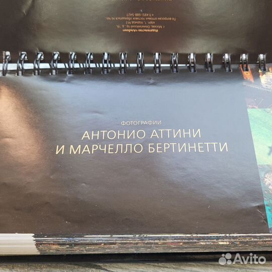 Вечный настольный календарь Италия