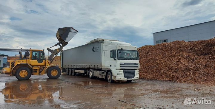 Кора лиственницы оптом (2000 шт)