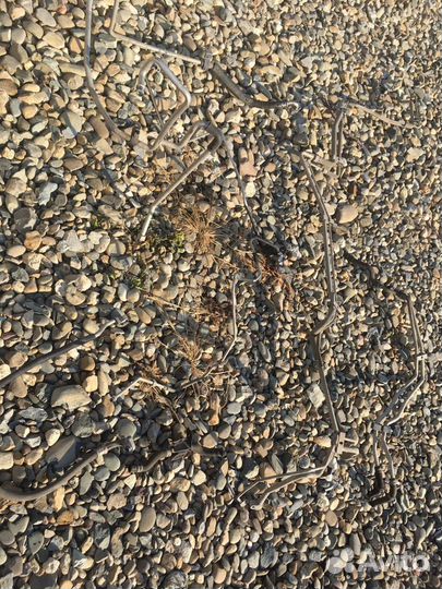 Трубка кондиционера передняя Noah Voxy 60 2002