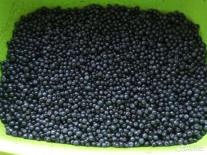 Черника с доставкой на дом