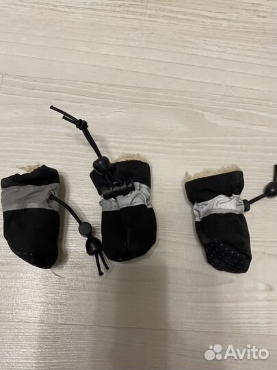 Отдам в хорошие руки обувь для собачки