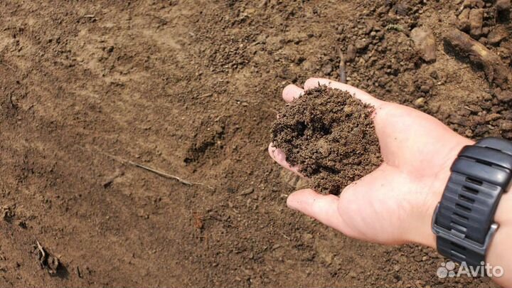 Земля газонная