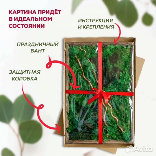 Панно мох ягель для салона, для офиса, в коридор