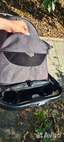 Коляска coletto