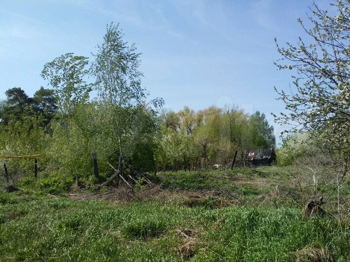 Участок 56 сот. (ИЖС)